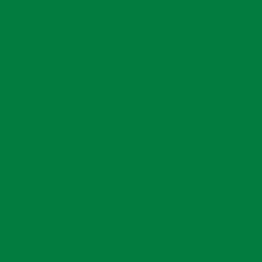 Rich Green Epoxy Garage Floor Color Sample