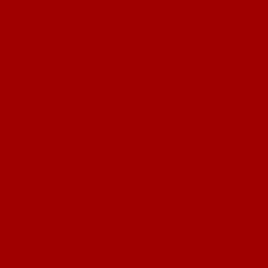 Rotunda Red Epoxy Garage Floor Color Sample