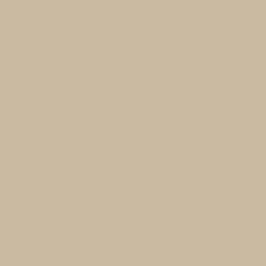 Beige Epoxy Garage Floor Color Sample
