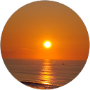 Laurie Palmer profile picture