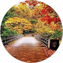 Vaishnavi Bhavani Ramanathan profile picture