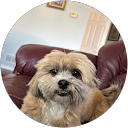 Dan Ogneru profile picture