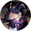 Bettina Viviano profile picture